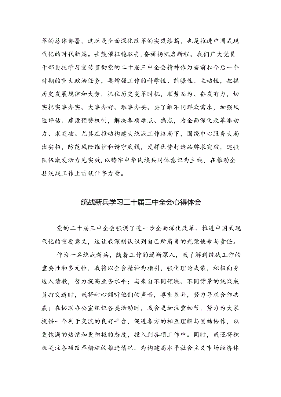 （9篇）统战委员学习贯彻党的二十三中全会精神心得体会（精选）.docx_第2页