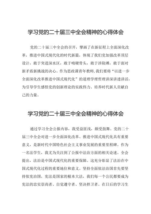 二十三中全会精神心得体会简短发言三十五篇.docx