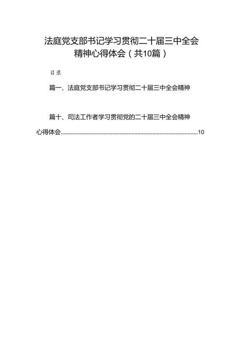 （10篇）法庭党支部书记学习贯彻二十三中全会精神心得体会范文.docx