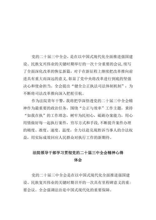 法院青年干警学习贯彻党的二十三中全会精神心得体会(通用精选8篇).docx