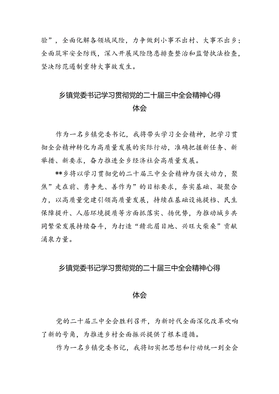 （9篇）基层镇党委工作者学习学习二十三中全会精神研讨发言（精选）.docx_第3页