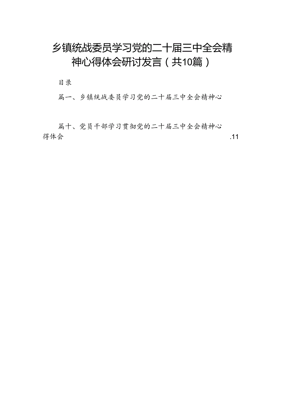 （10篇）乡镇统战委员学习党的二十三中全会精神心得体会研讨发言专题资料.docx_第1页