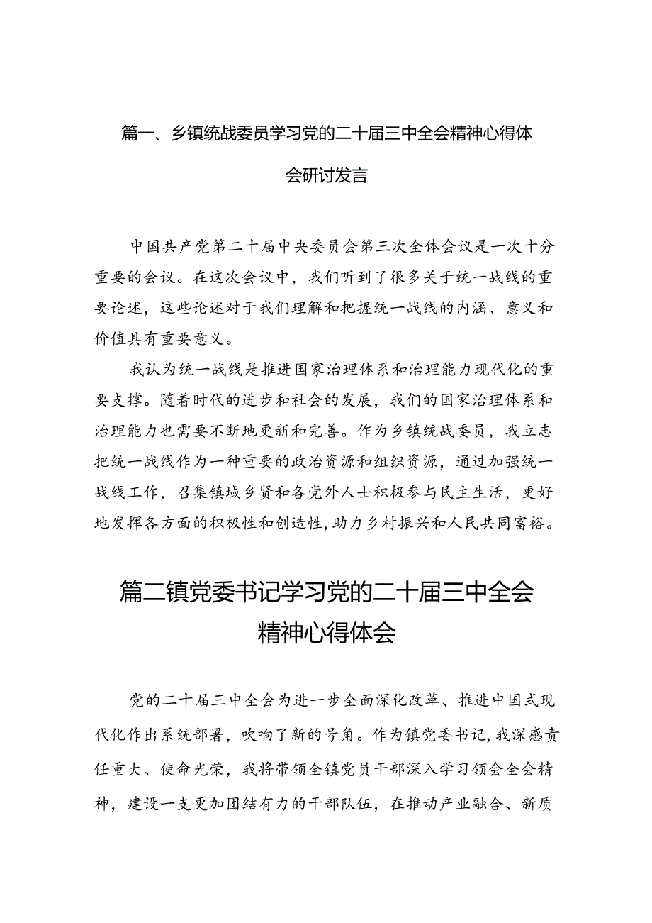 （10篇）乡镇统战委员学习党的二十三中全会精神心得体会研讨发言专题资料.docx_第2页