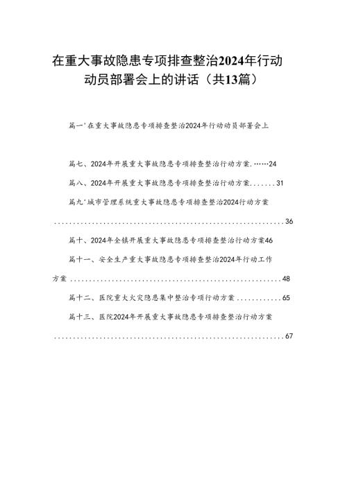 在重大事故隐患专项排查整治2024年行动动员部署会上的讲话（共13篇）.docx