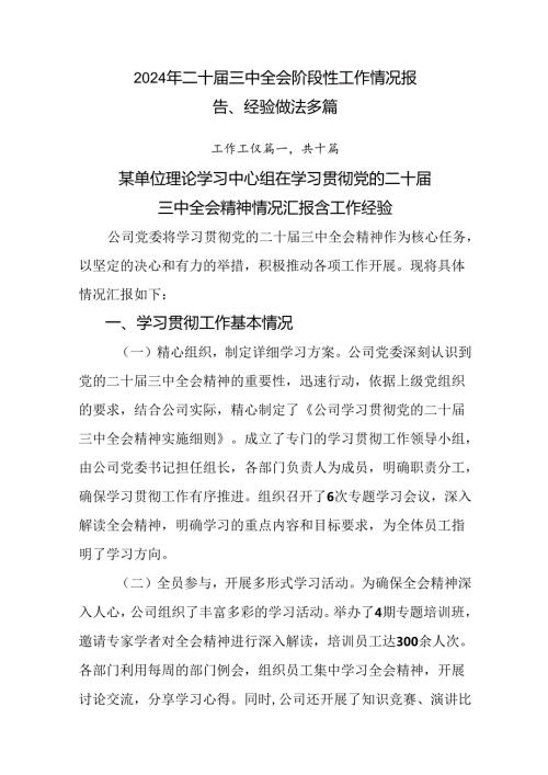 2024年二十三中全会阶段性工作情况报告、经验做法多篇.docx