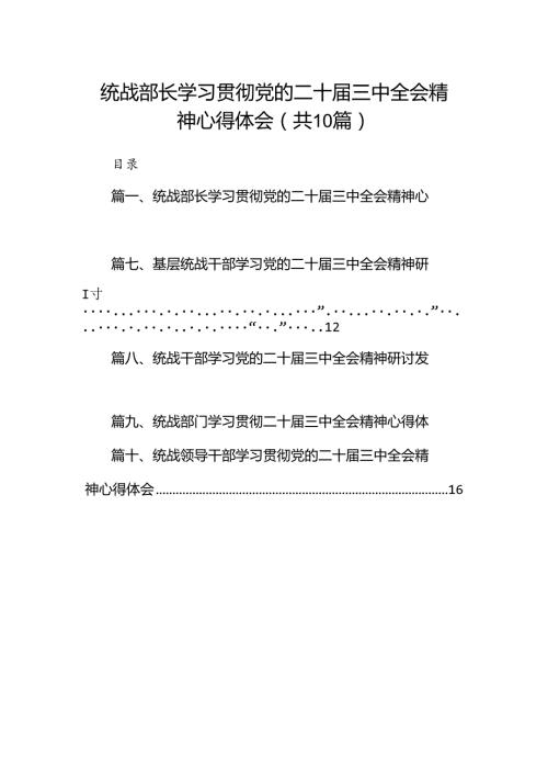 （10篇）统战部长学习贯彻党的二十三中全会精神心得体会范文.docx
