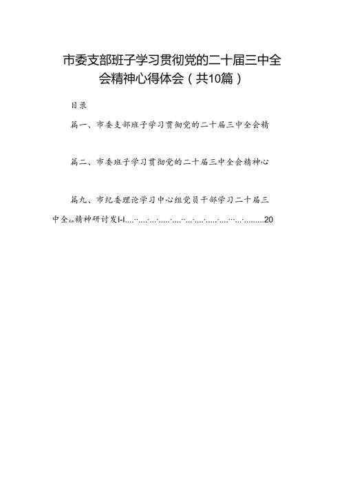（10篇）市委支部班子学习贯彻党的二十三中全会精神心得体会范文.docx
