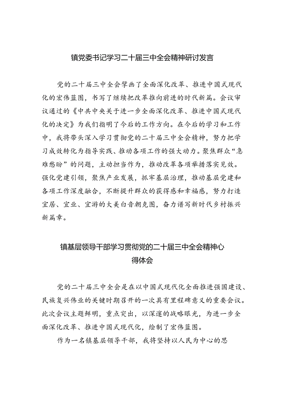 （9篇）镇党委书记学习二十三中全会精神研讨发言范文.docx_第1页