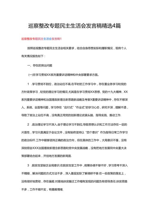 巡察整改专题民主生活会发言稿精选4篇.docx