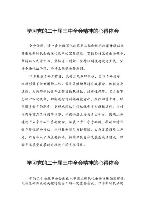 2024年党的二十三中全会精神学习感悟汇编(33篇).docx