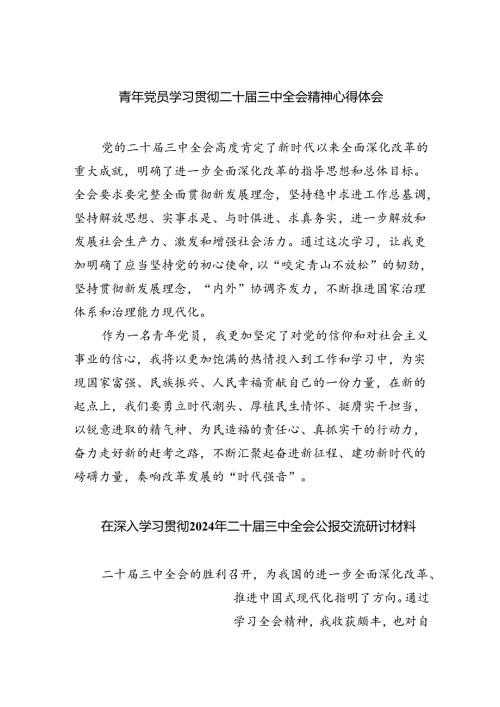（9篇）青年党员学习贯彻二十三中全会精神心得体会范文.docx