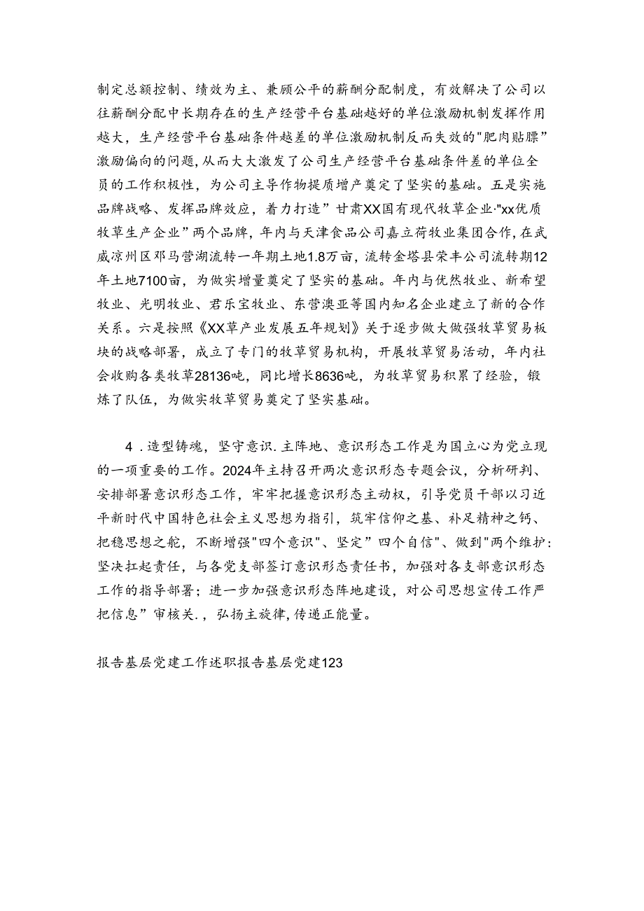 20242025某国企党委书记抓基层党建工作述职报告.docx_第3页