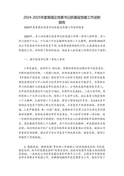 20242025某国企党委书记抓基层党建工作述职报告.docx