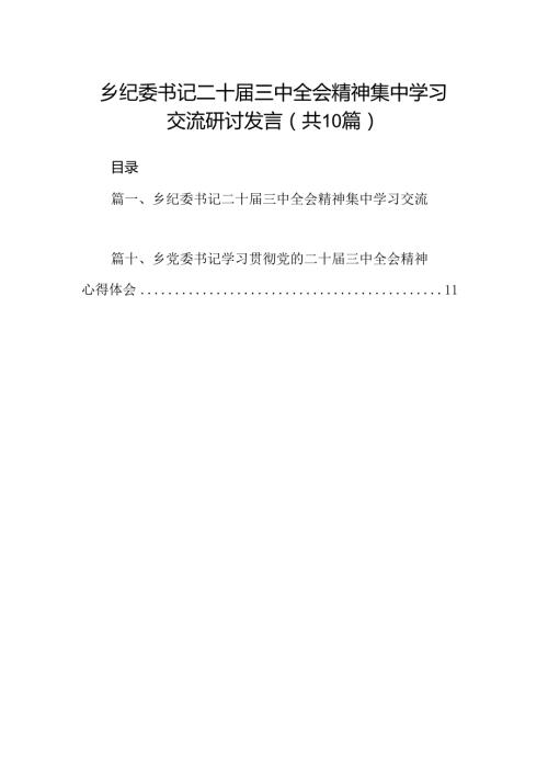 （10篇）乡纪委书记二十三中全会精神集中学习交流研讨发言（精选）.docx