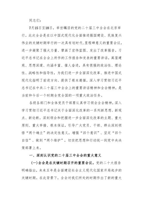 学习贯彻党的二十三中全会精神专题宣讲稿.docx