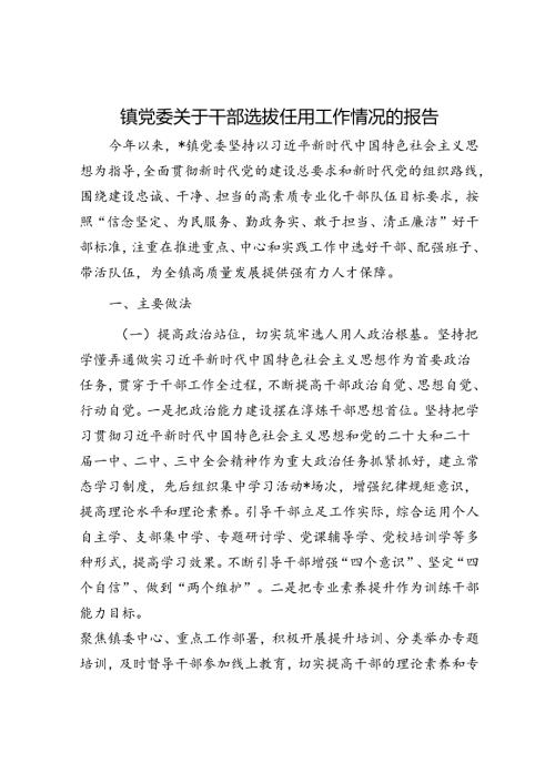 镇党委关于干部选拔任用工作情况的报告.docx