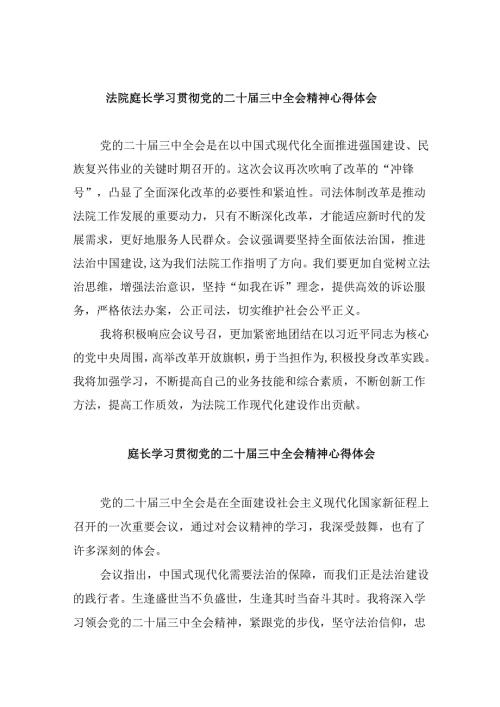 （11篇）法院庭长学习贯彻党的二十三中全会精神心得体会范文.docx