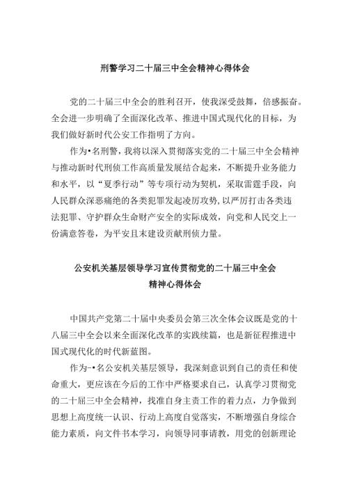 （11篇）刑警学习二十三中全会精神心得体会汇编.docx