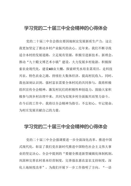 2024年学习党的二十三中全会精神的心得体会最新二十七篇.docx