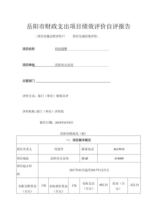 岳阳财政支出项目绩效评价自评报告.docx
