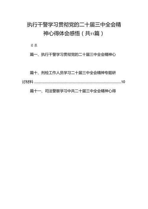 （11篇）执行干警学习贯彻党的二十三中全会精神心得体会感悟范文.docx