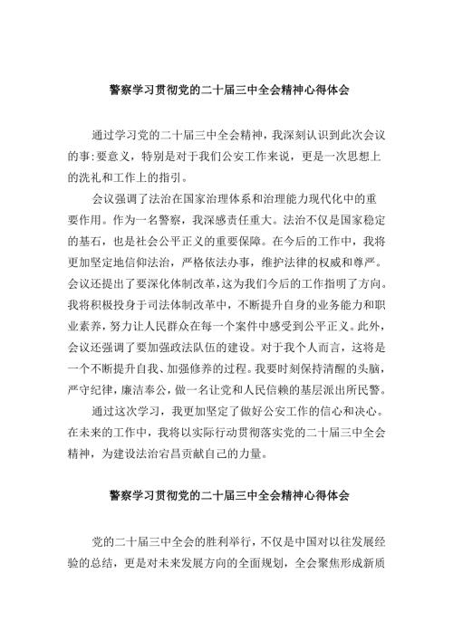 （11篇）警察学习贯彻党的二十三中全会精神心得体会例文.docx