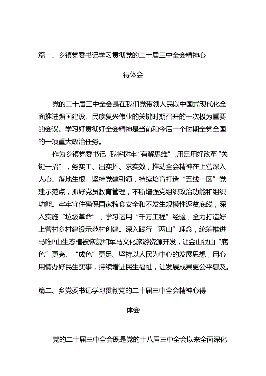 乡镇党委书记学习贯彻党的二十三中全会精神心得体会十篇（精选）.docx_第2页