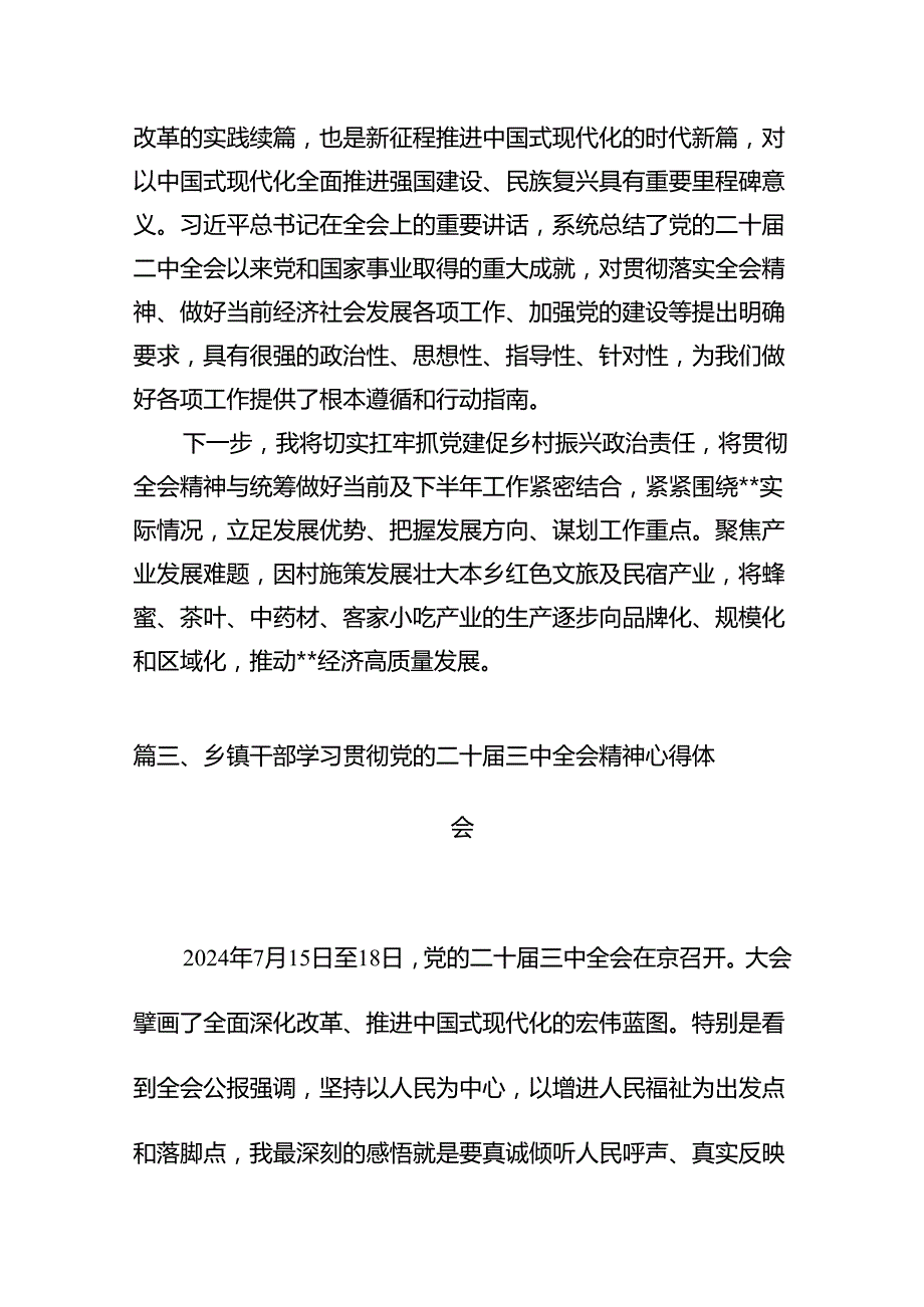 乡镇党委书记学习贯彻党的二十三中全会精神心得体会十篇（精选）.docx_第3页