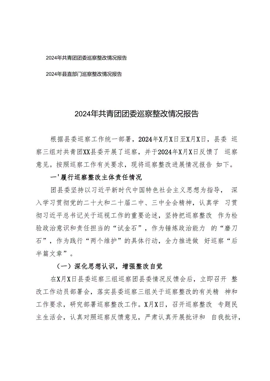 2024年县直部门、共青团团委巡察整改情况报告.docx_第1页