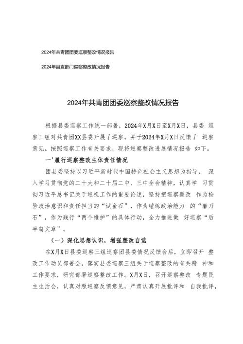 2024年县直部门、共青团团委巡察整改情况报告.docx