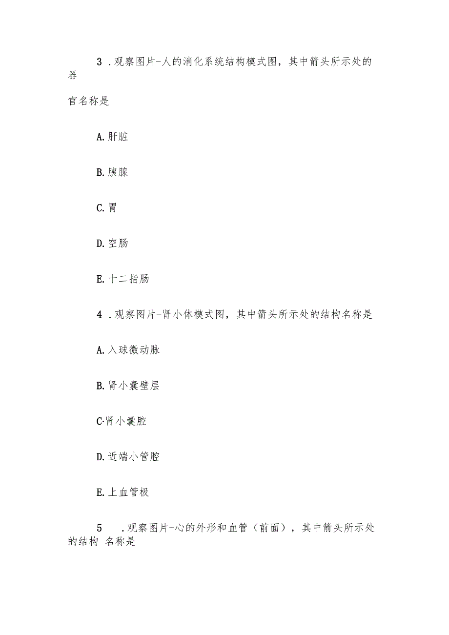 电大《人体解剖学与组织胚胎学》任务4第610题库.docx_第2页