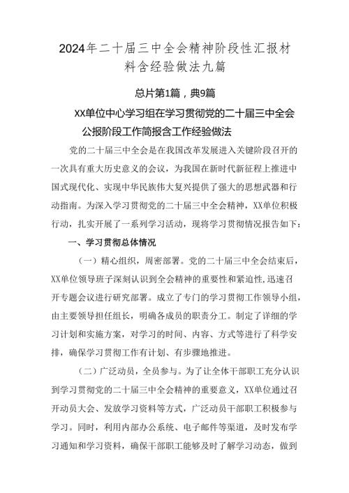 2024年二十三中全会精神阶段性汇报材料含经验做法九篇.docx