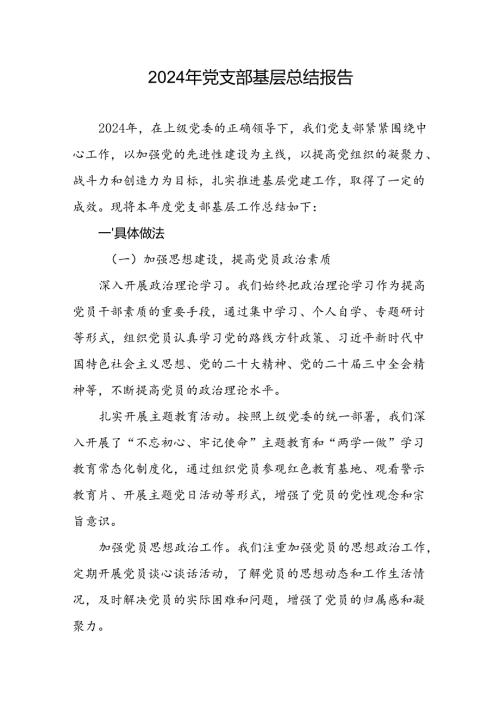 2024基层党支部工作总结报告汇报.docx