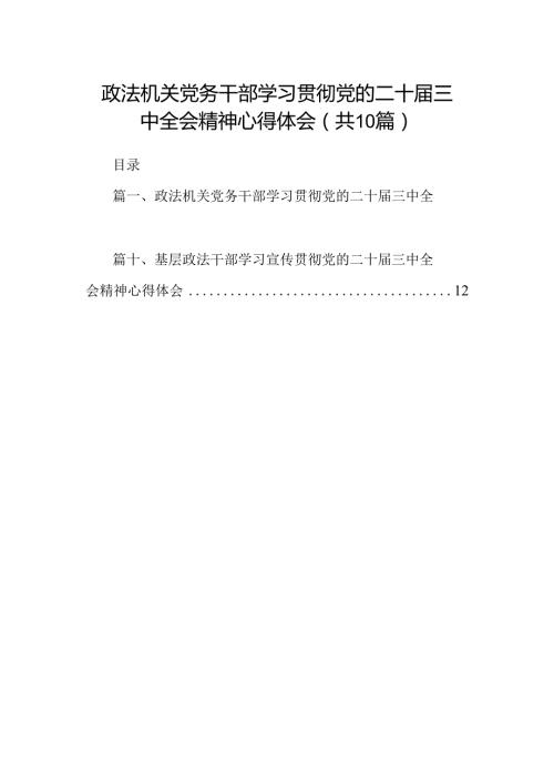 （10篇）政法机关党务干部学习贯彻党的二十三中全会精神心得体会范文.docx