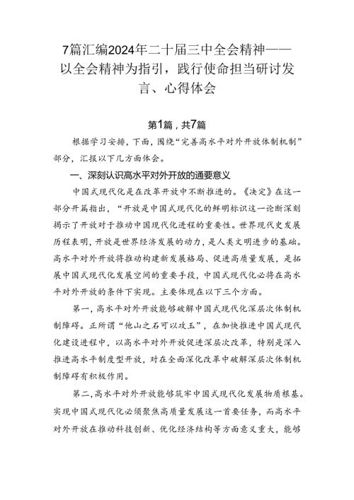 7篇汇编2024年二十三中全会精神——以全会精神为指引践行使命担当研讨发言、心得体会.docx