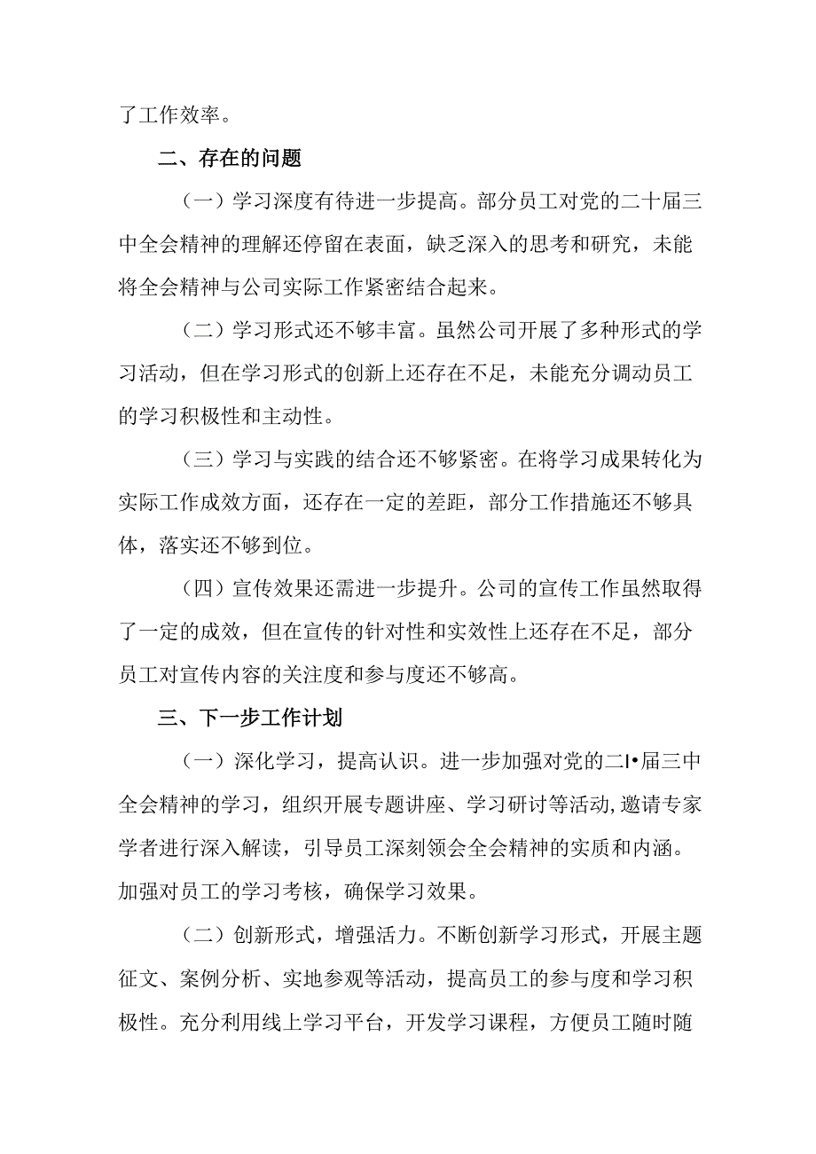 2024二十三中全会精神阶段性工作情况报告附经验做法.docx_第3页