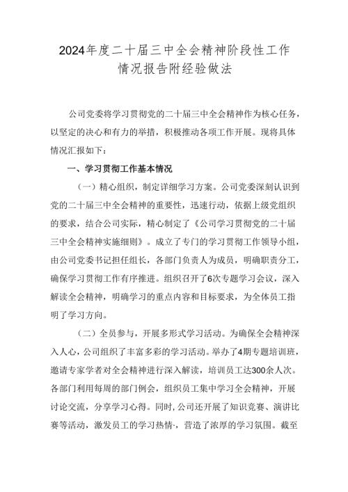 2024二十三中全会精神阶段性工作情况报告附经验做法.docx