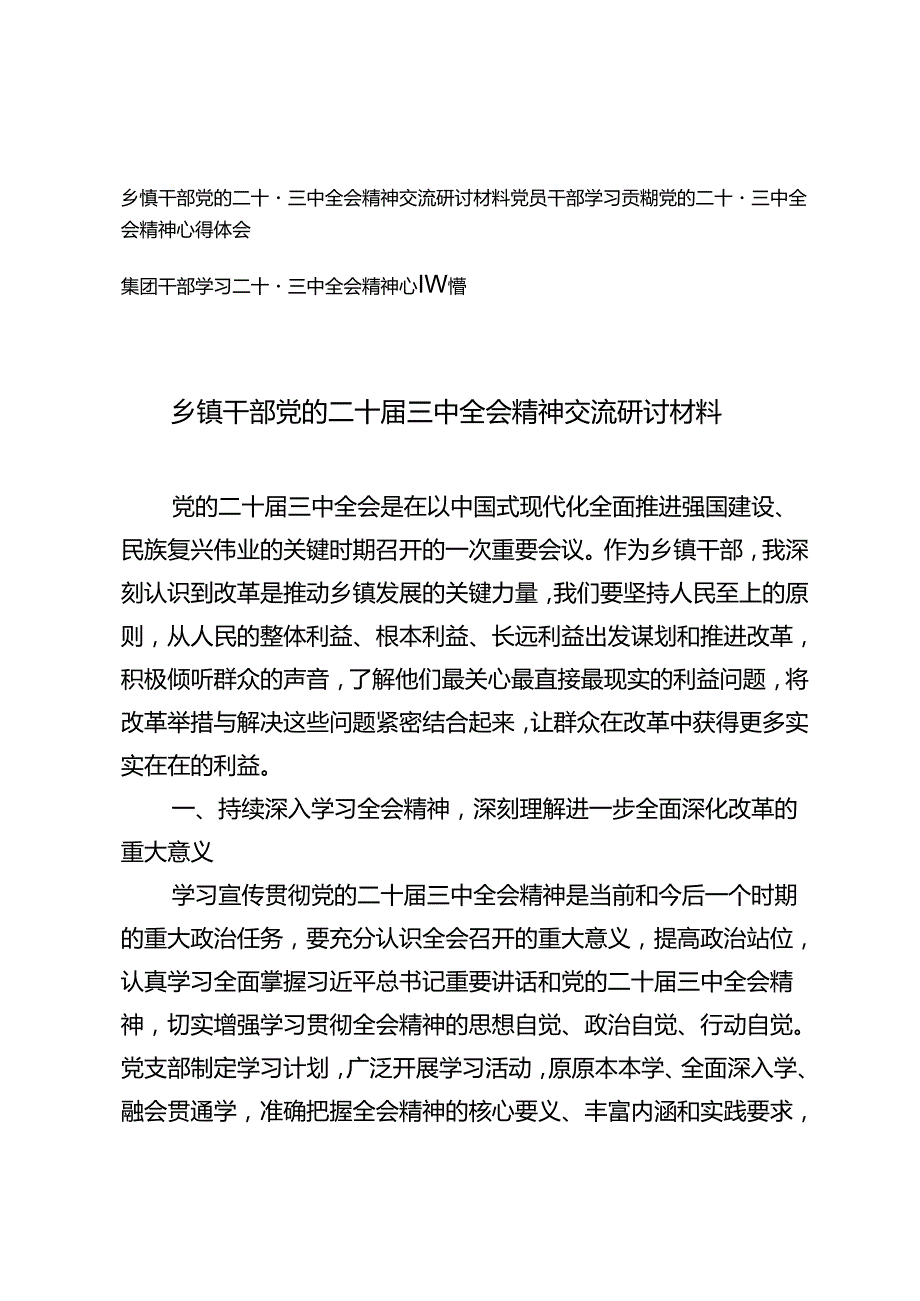 2024年乡镇干部、党员干部、集团干部党的二十三中全会精神交流研讨材料.docx_第1页