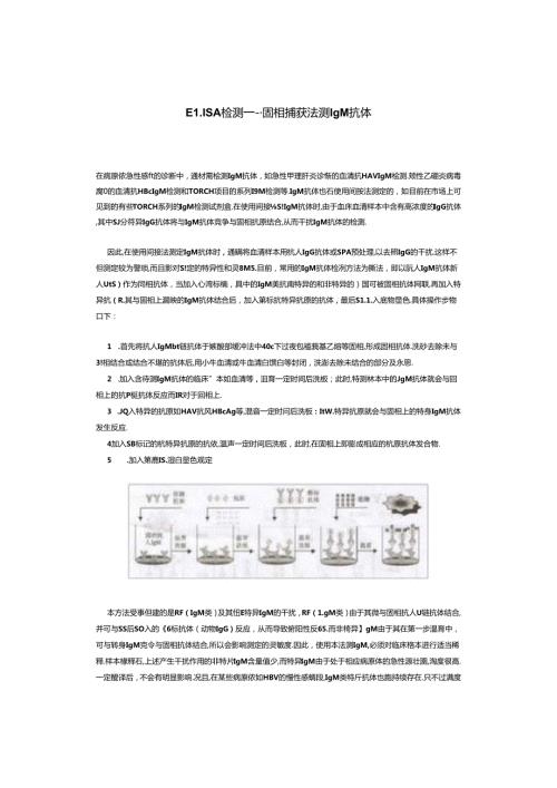 ELISA检测.docx