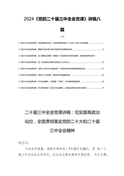 2024《党的二十三中全会党课》讲稿八篇.docx