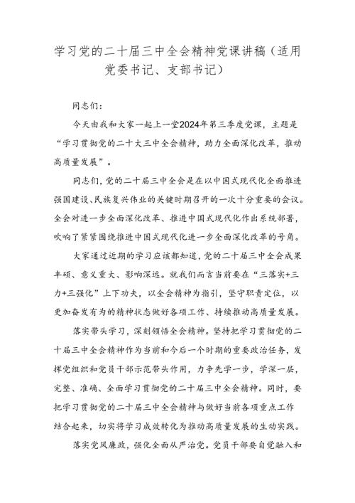 2024年二十三中全会精神专题党课讲稿.docx