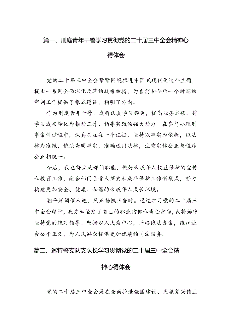 （15篇）刑庭青年干警学习贯彻党的二十三中全会精神心得体会（最新版）.docx_第2页