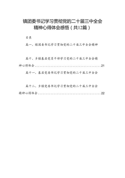 镇团委书记学习贯彻党的二十三中全会精神心得体会感悟（共12篇）.docx