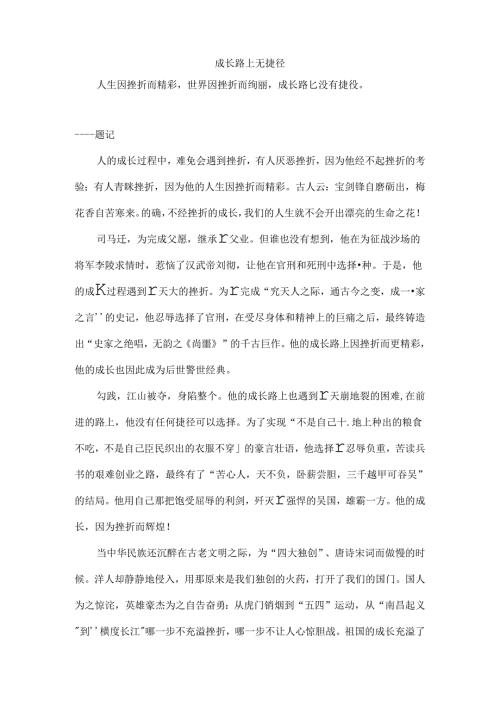 成长路上无捷径(范文).docx