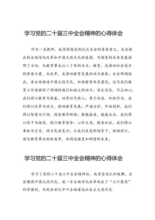 二十三中全会精神心得体会例文25篇.docx