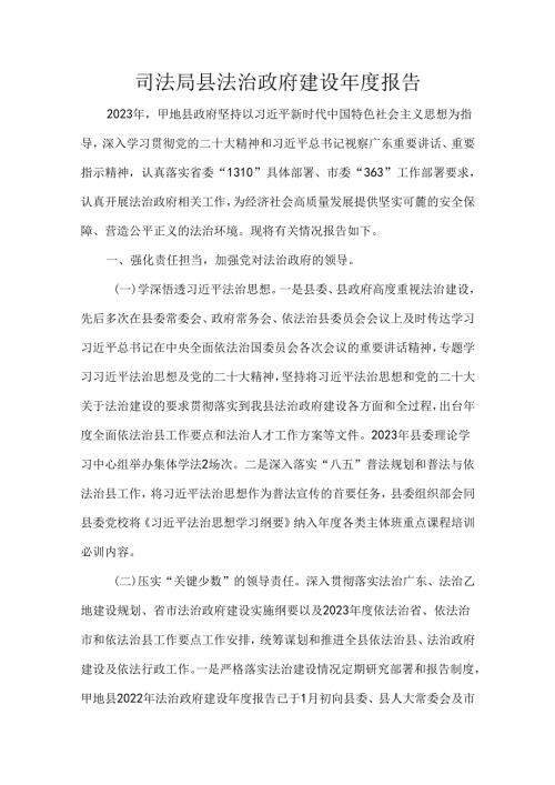 司法局县法治政府建设报告.docx