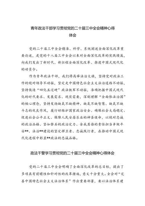 青年政法干部学习贯彻党的二十三中全会精神心得体会（共8篇）.docx