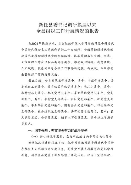 新任县委书记调研换以来全县组织工作开展情况的报告.docx