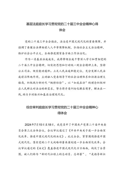 基层法庭庭长学习贯彻党的二十三中全会精神心得体会（共八篇选择）.docx
