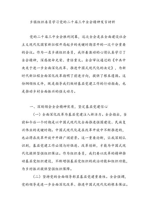 乡镇组委组织委员学习党的二十三中全会精神心得体会研讨发言材料.docx